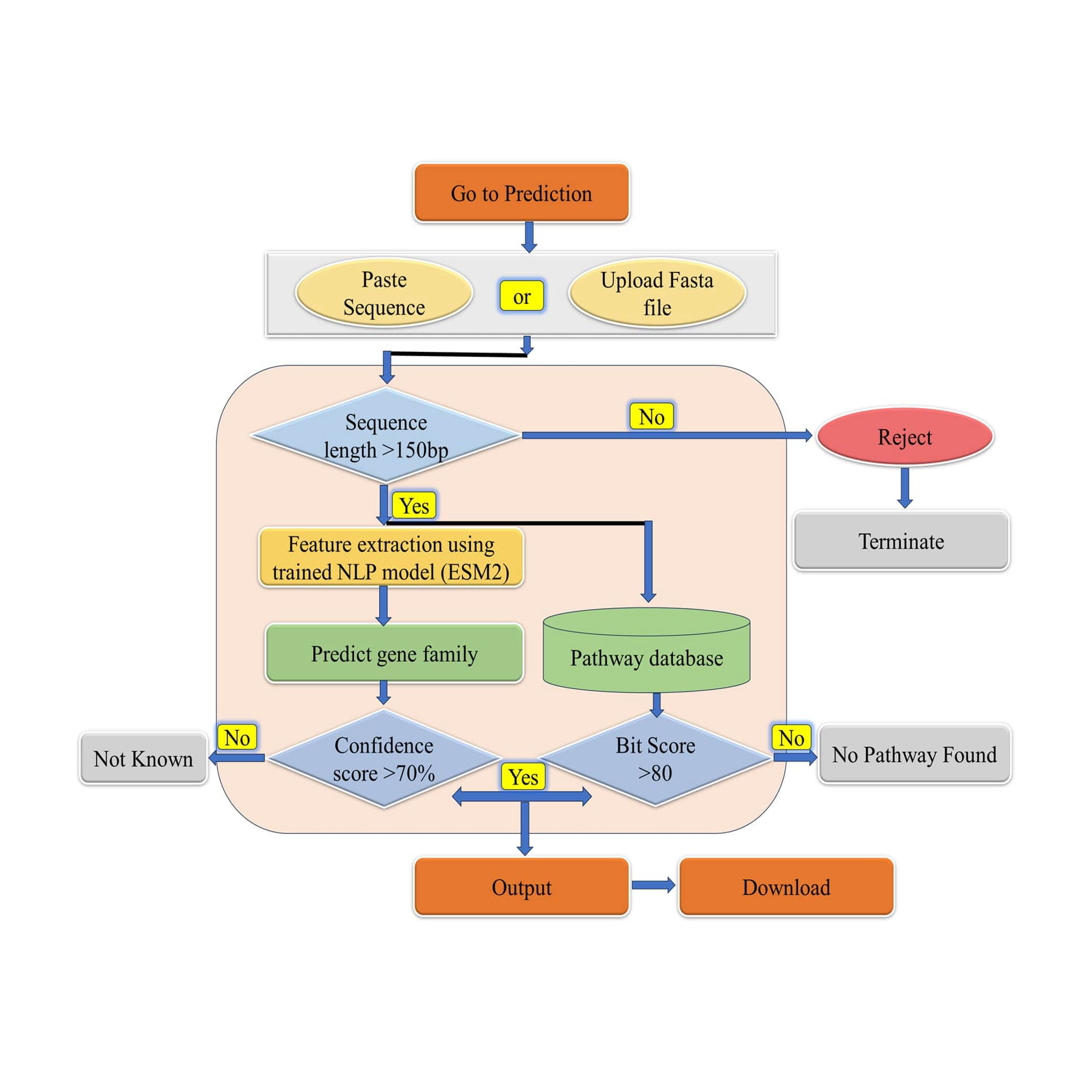 Bioinformatics Analysis