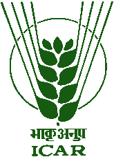 ICAR Logo